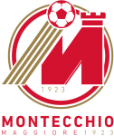 Logo Montecchio Maggiore
